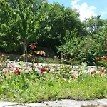 Appartamento Cetina - With A View