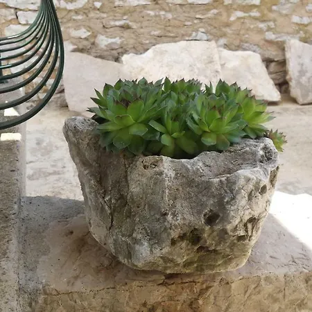 Apartman Cetina - With A View *