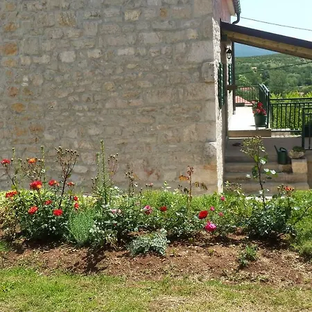 Cetina *