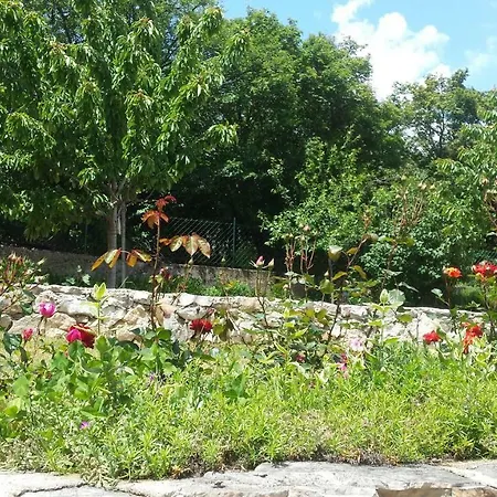 Apartament Cetina - With A View