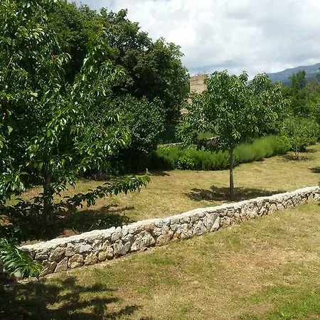 Apartment Cetina *