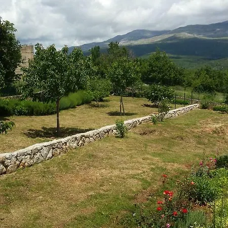 Apartment Cetina