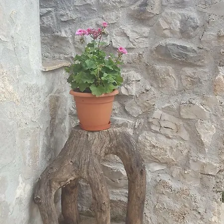 Cetina - With A View Apartament Milasi