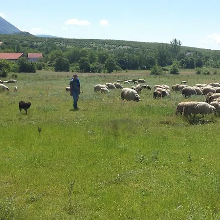 Apartment Cetina Milasi