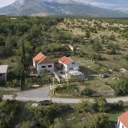 Cetina *