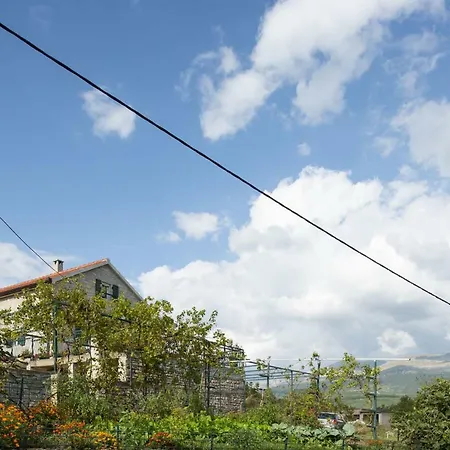 Cetina - With A View Milasi