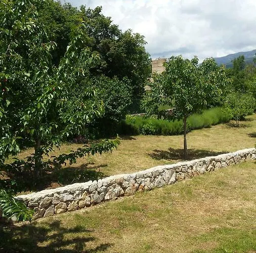 Appartement Cetina - With A View *