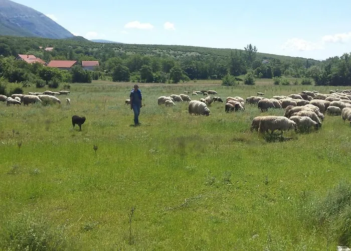 Apartment Cetina - With A View Milasi