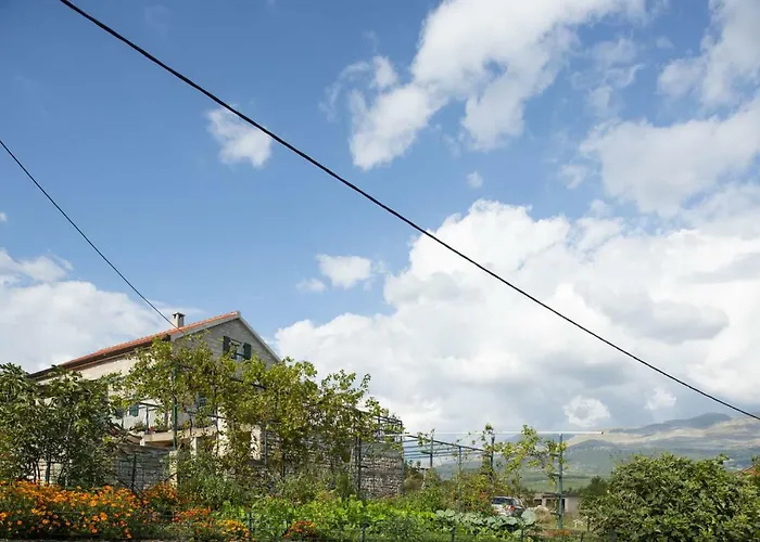 Cetina - With A View Milasi